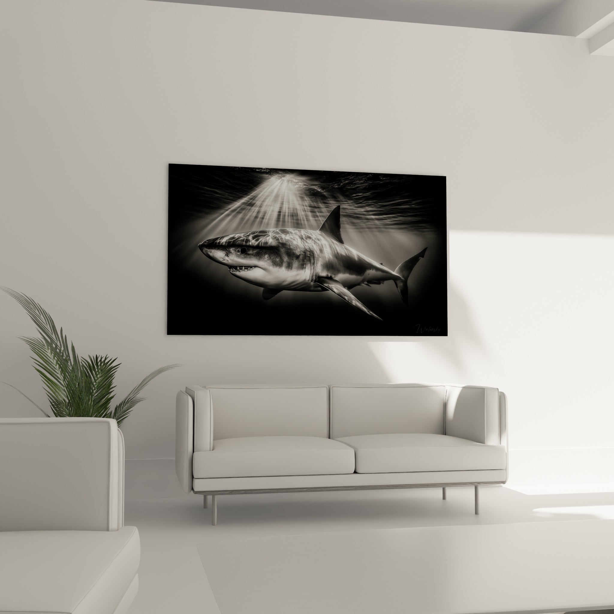 Prédateur marin noir et blanc aux nageoires déployées, au-dessus d'un canapé dans un salon lumineux