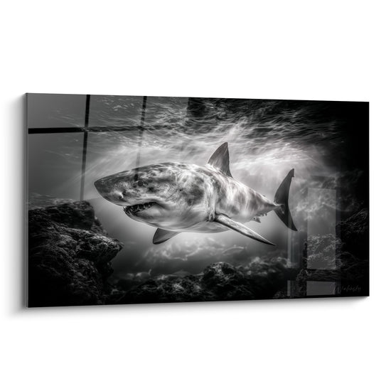 Requin blanc aux nageoires déployées entre rochers anthracite et lumière filtrante en noir et blanc