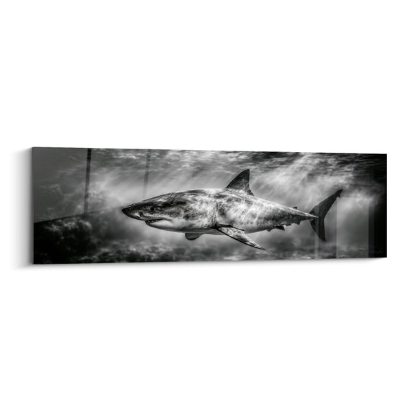 Tableau Requin gris et noir traversant un rai de lumière - Nage latérale en profil - Edition Requin