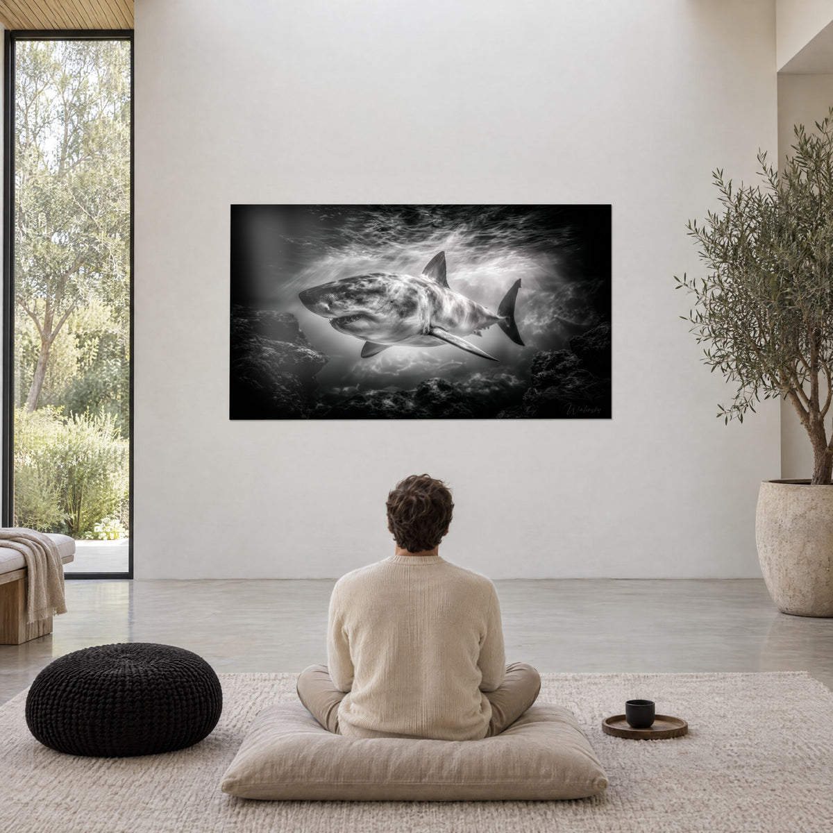 Wall art monochrome shark between two dark rock masses, diffuse white light, man seated with his back turned on a cushion in a minimalist living room