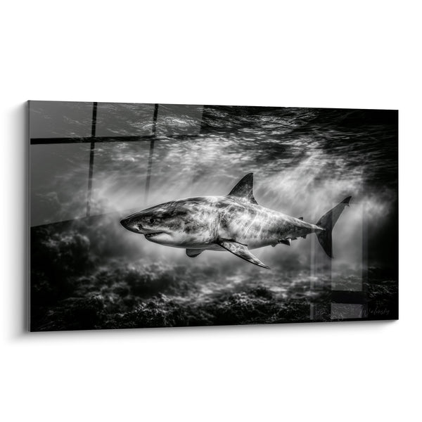 Tafel Hai schwarz-weiß unter Lichtstrahlen - Unterwasserfotografie in Monochrom - Hai-Edition