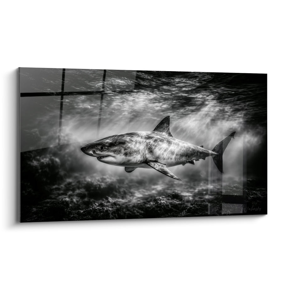 Tableau Requin noir et blanc sous rayons de lumière - Photographie sous-marine monochrome - Edition Requin