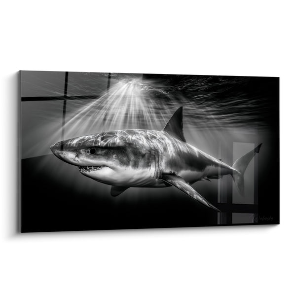Tableau Requin blanc noir et gris sous les rayons - Silence des abysses - Edition Requin