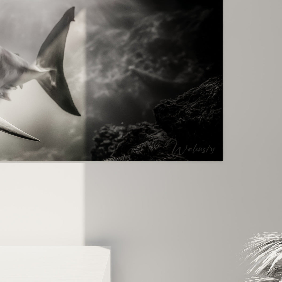 Détail de la peau grise granuleuse et des reflets blancs du requin sur la toile imprimée