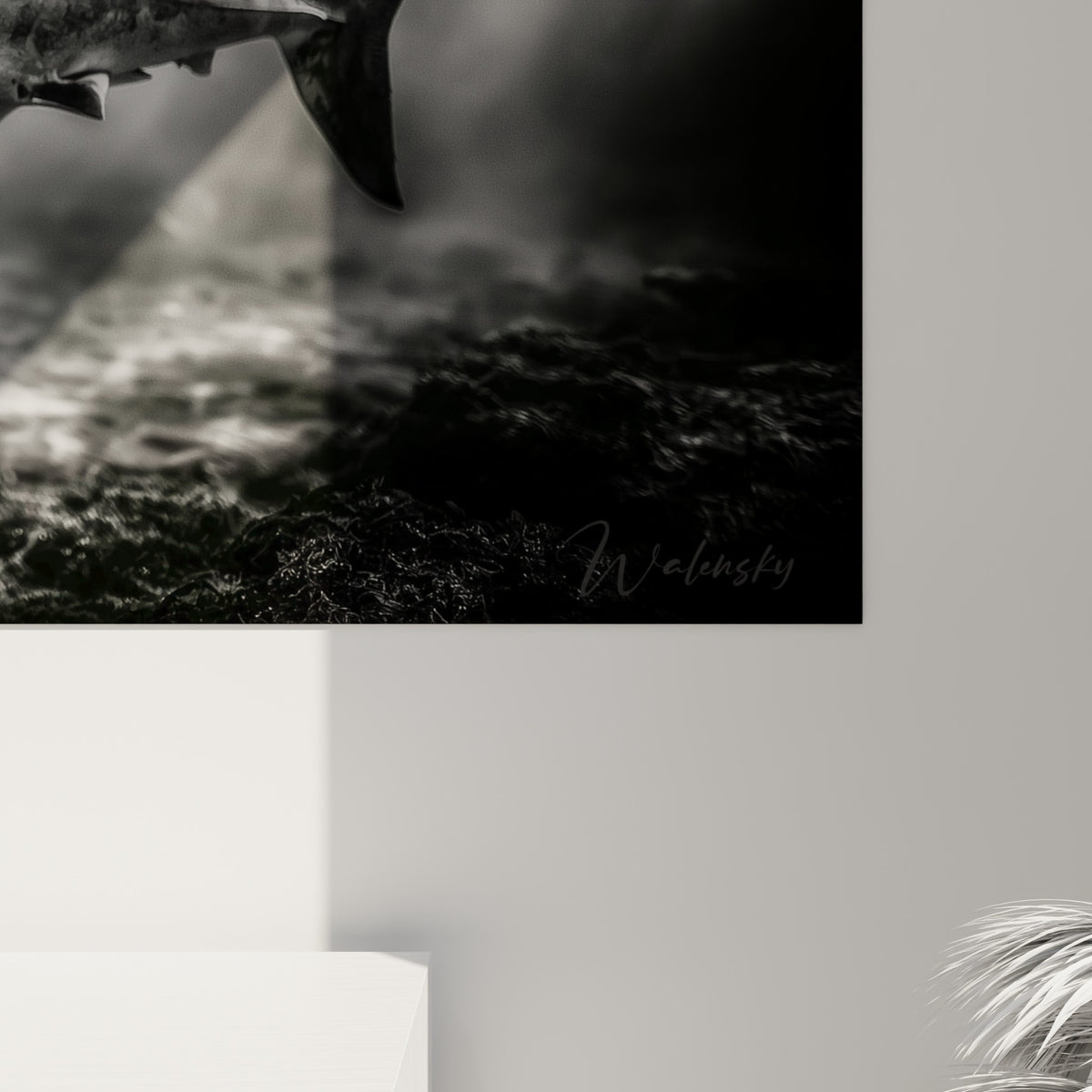 Peau texturée du requin en nuances de gris et noir, grain photographique visible de près