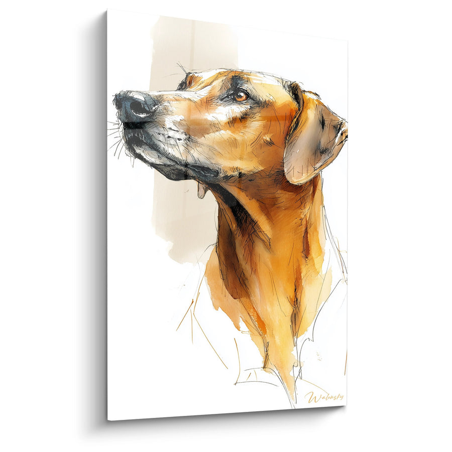 Tableau Chien Fauve au Regard Levé - Aquarelle Expressive - Edition Rhodesian Ridgeback