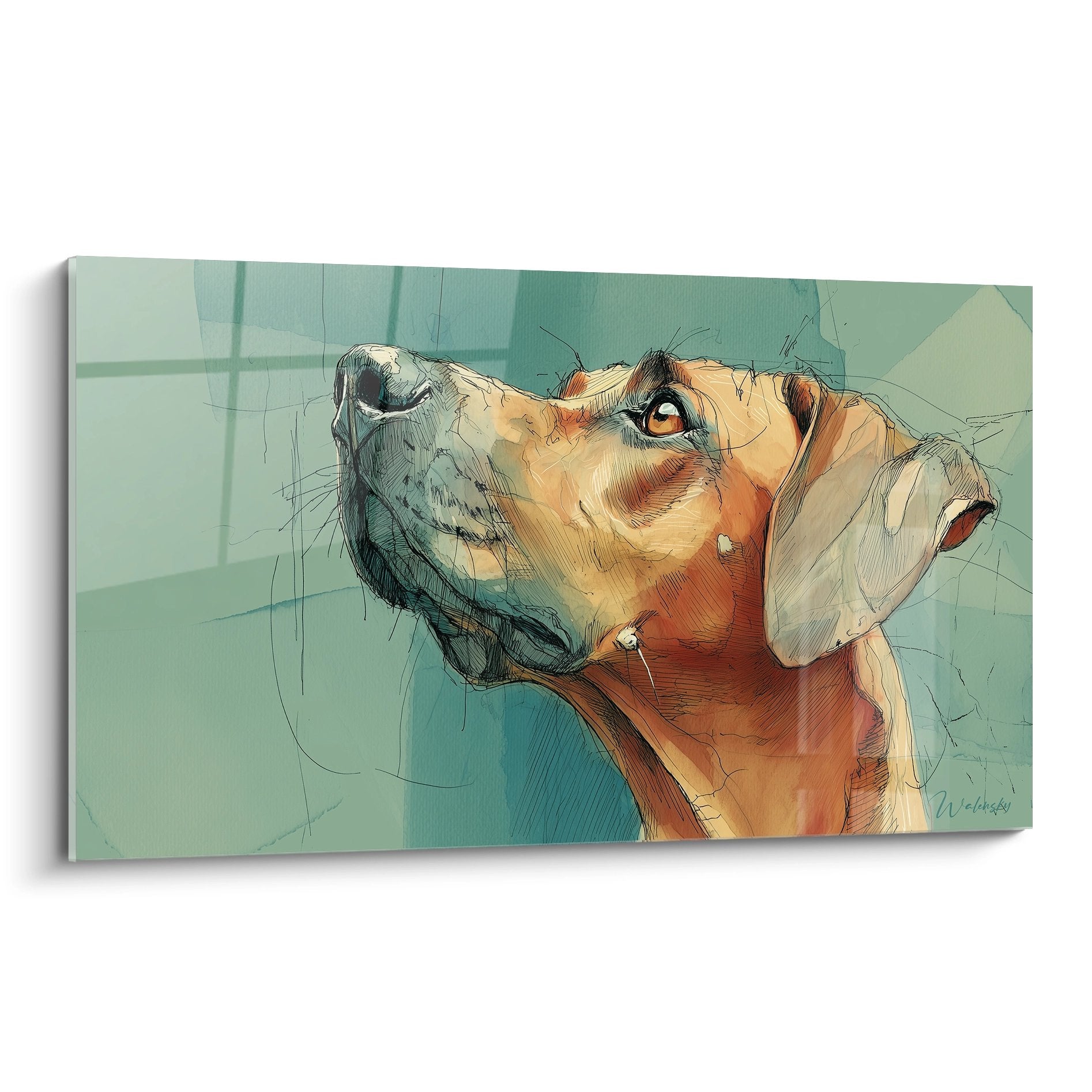 Tableau portrait Rhodesian Ridgeback au regard tendre levant les yeux, tons ocre sur fond vert menthe, style artistique esquisse