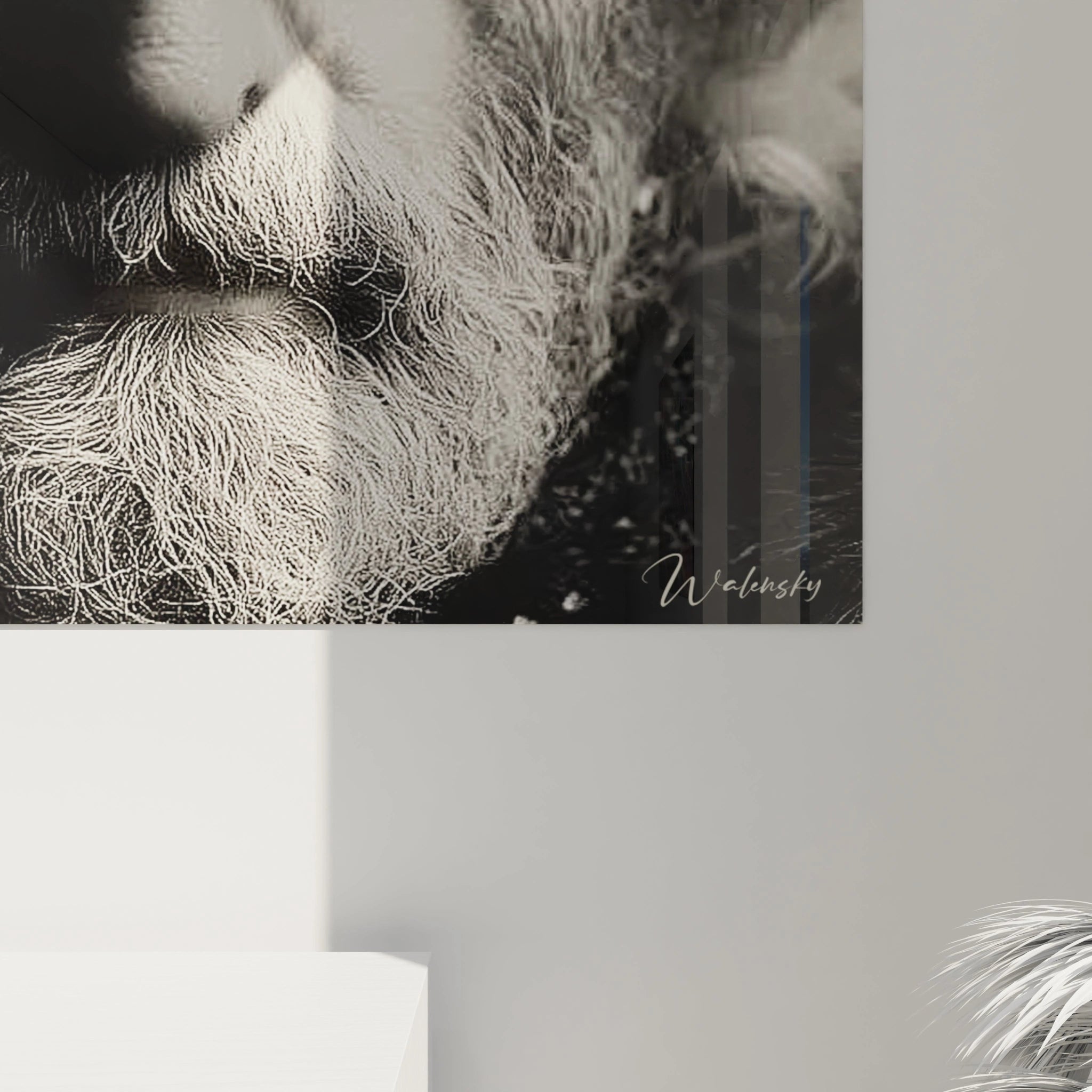 Walensky tableau roi barbe d'argent mural portrait gros plan d'un roi barbu en noir et blanc pour salon