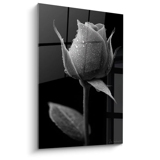 Tableau Rose aux Gouttes de Rosée - Beauté Matinale - Edition paysage noir et blanc