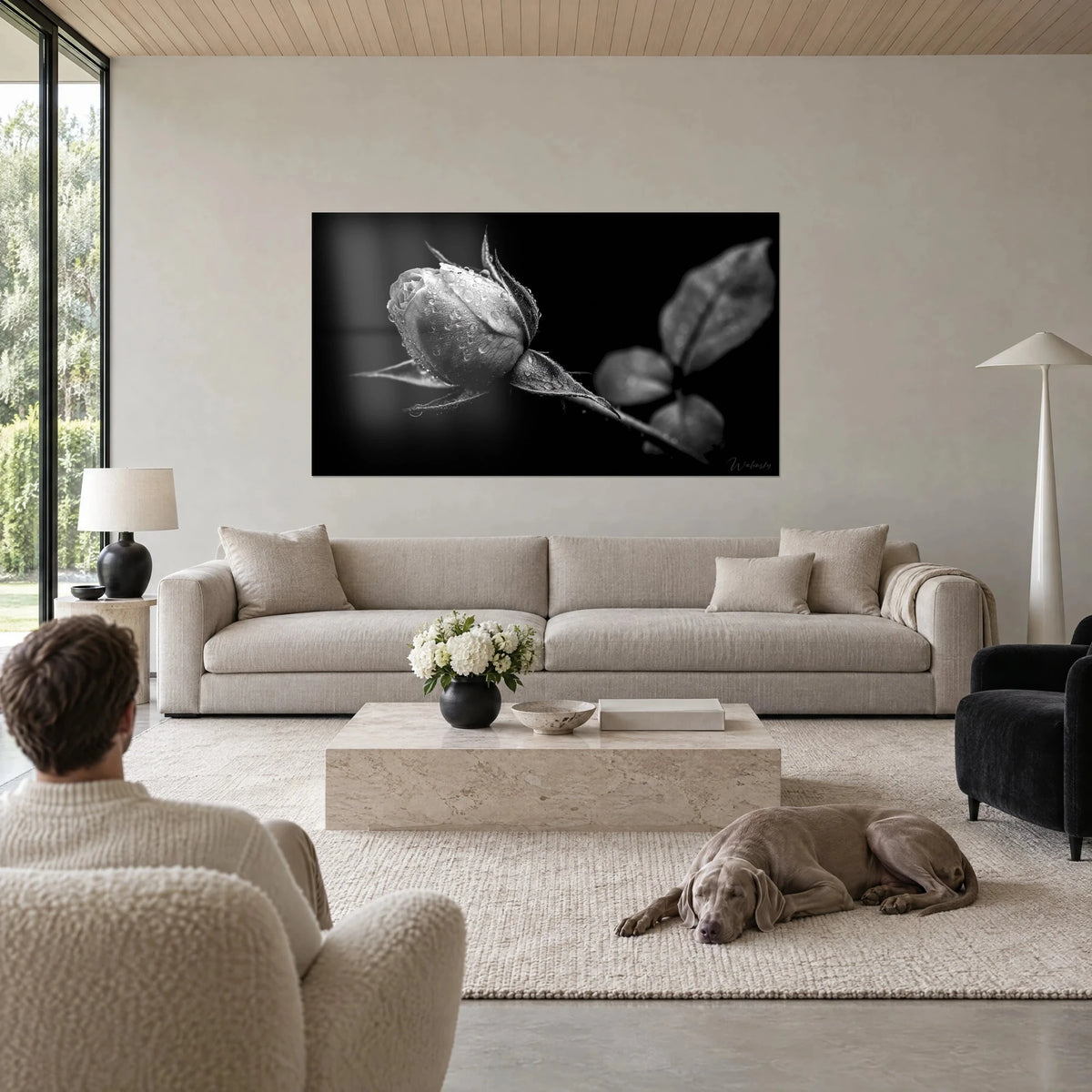 Tableau bouton de rose perlé de gouttes sur fond noir, pétales gris argentés, un Weimaraner couché, au-dessus d'un canapé dans un salon lumineux