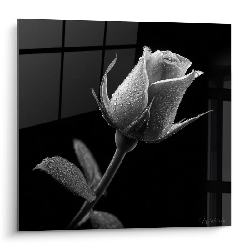 Rose Painting - Romantic Elegance - Black and White Landscape Edition