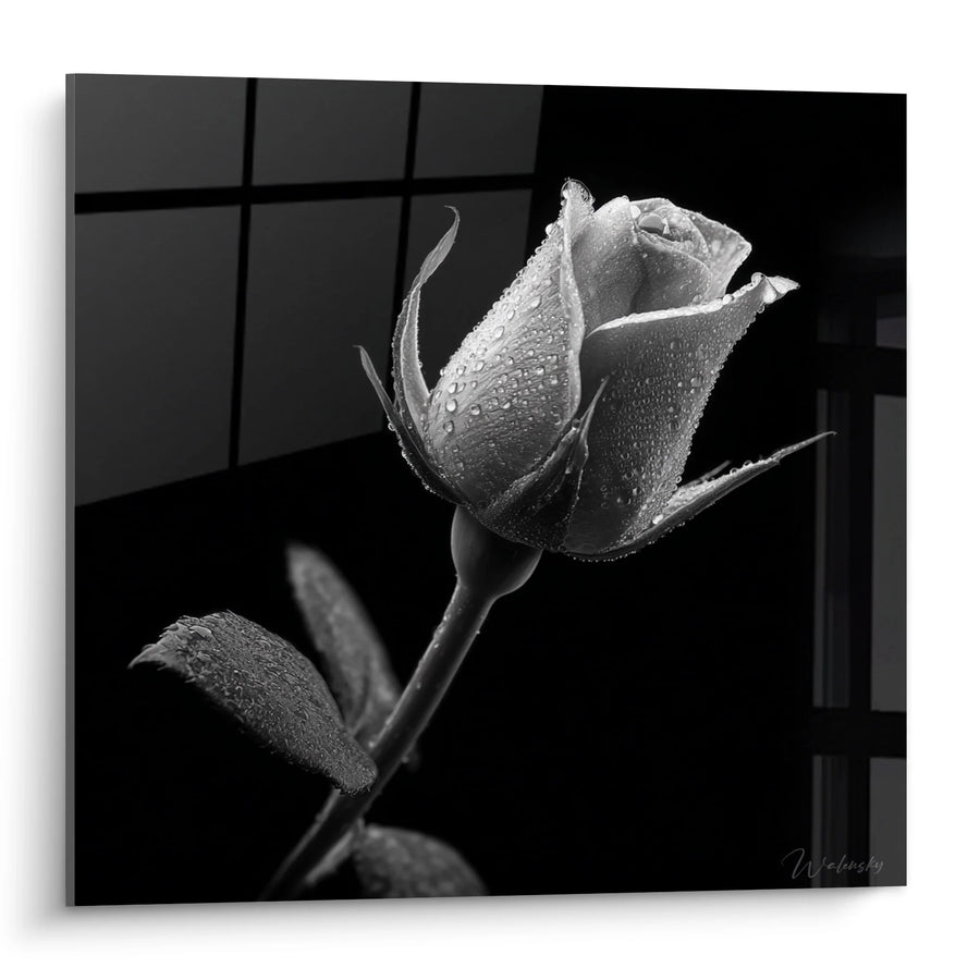 Tableau Rose - Élégance Romantique - Edition paysage noir et blanc