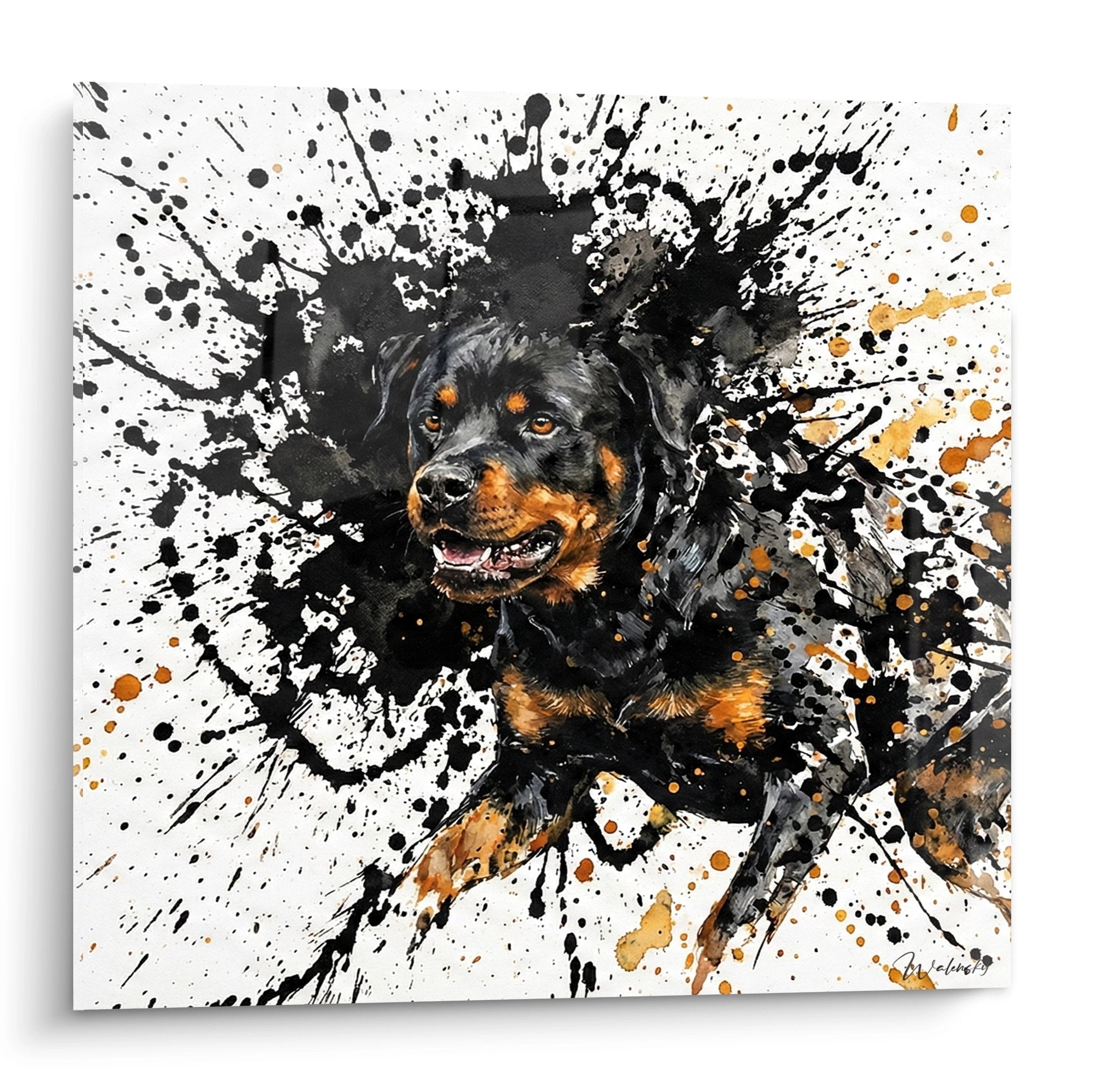 Tableau moderne Rottweiler noir et feu sur éclaboussures de peinture noire et orangée fond blanc