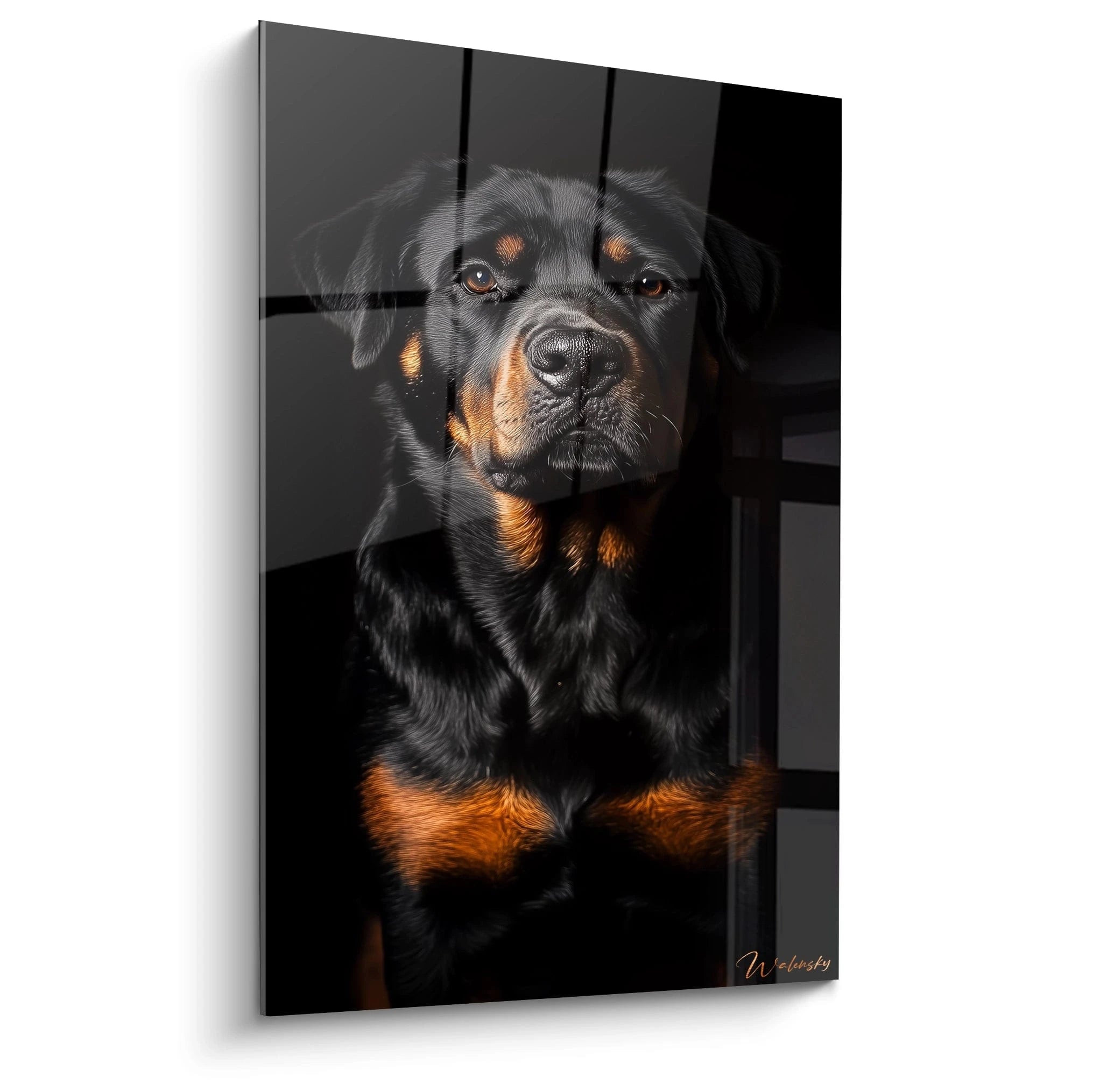 Un tableau rottweiler représentant un chien noir et feu en gros plan sur fond noir. Le regard intense et le pelage brillant créent un contraste saisissant entre les zones sombres et les marques ambrées autour des yeux et du museau.
