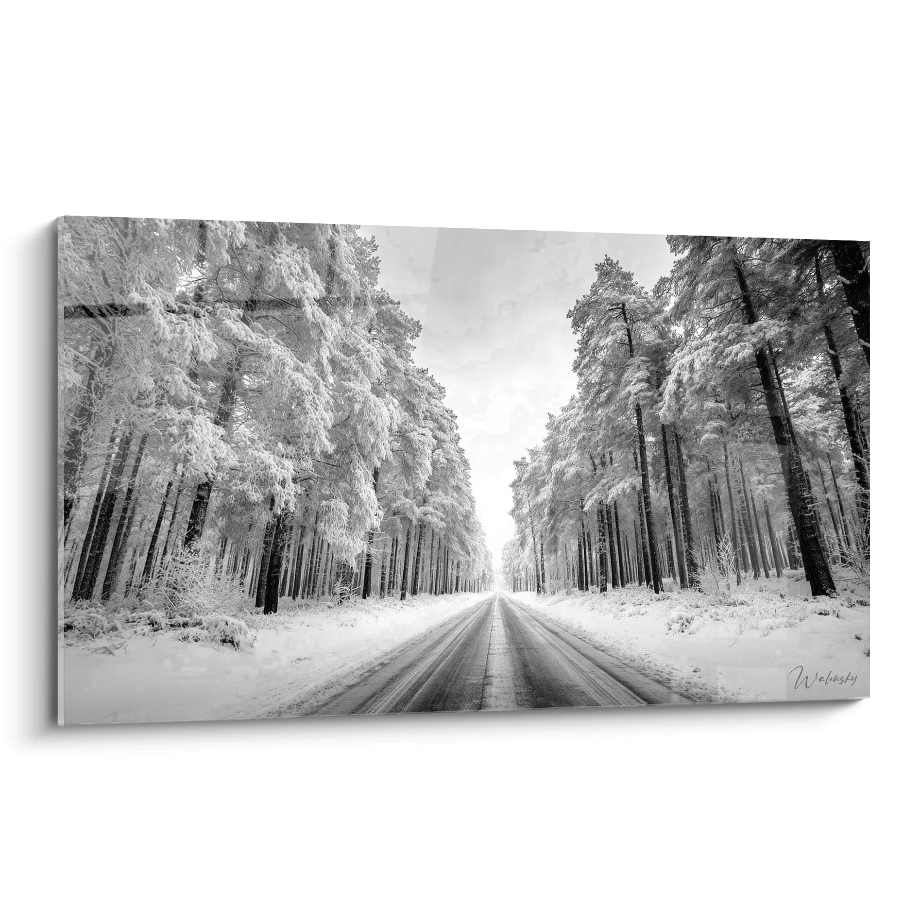 Tableau noir et blanc route enneigée traversant forêt hivernale avec arbres couverts neige
