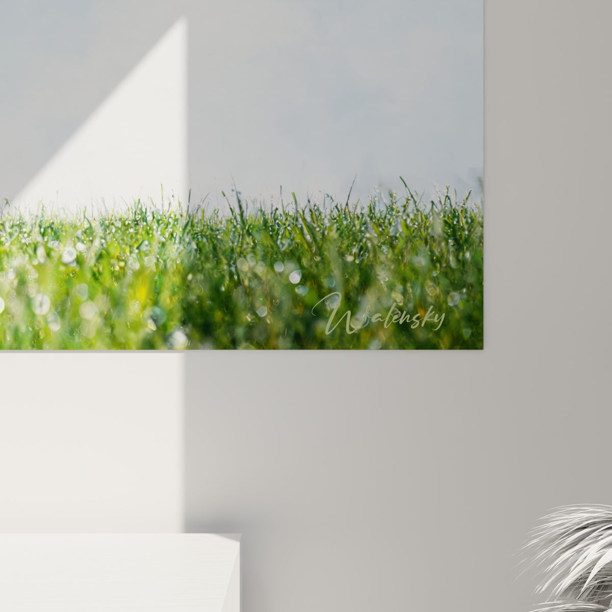 Détail du grain photographique sur les maillots vert et blanc, gouttes de rosée scintillantes sur l'herbe