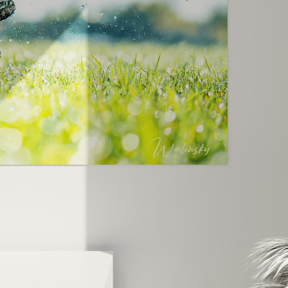 Gouttes d'eau et pelouse verte détaillées sur ce tableau rugby aux tons bleus intenses