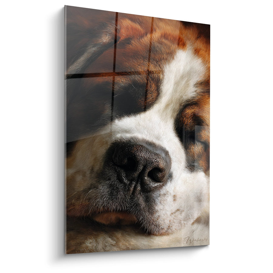 Tableau Museau de Chien en Gros Plan - Tendresse Canine - Edition Saint Bernard