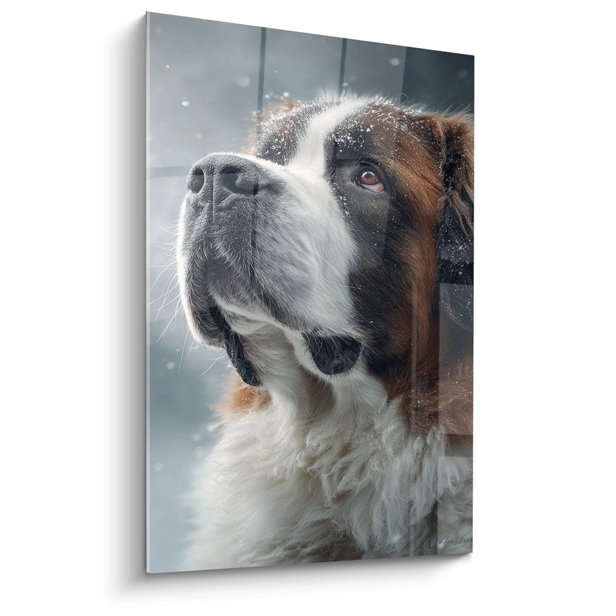 Tableau Saint Bernard au Regard Ému sous la Neige - Portrait Hivernal - Edition Saint Bernard
