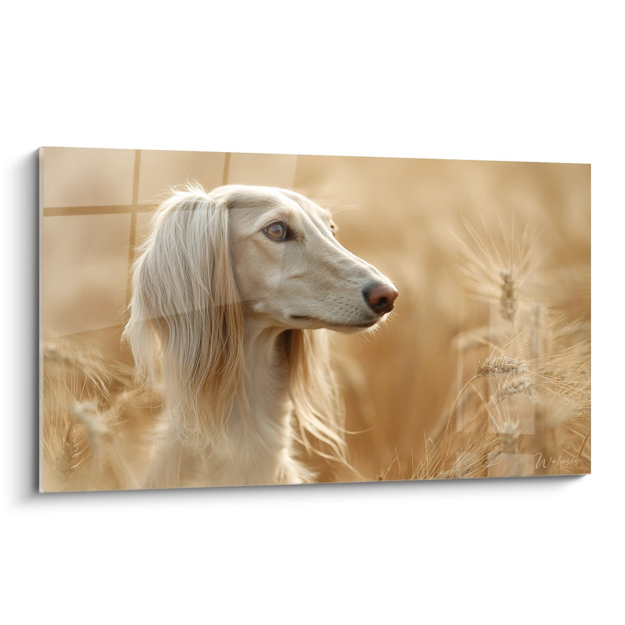 Tableau Lévrier Blanc aux Yeux Dorés dans les Blés - Regard Noble - Edition Saluki