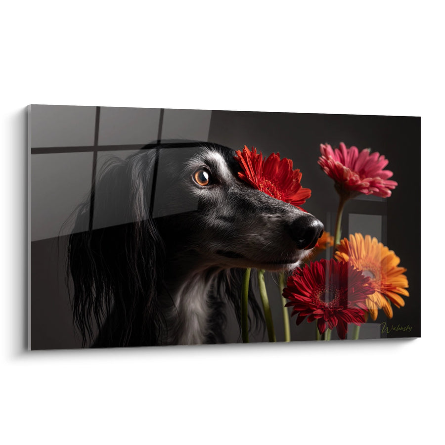 Tableau Lévrier Noir aux Gerberas Colorés - Tendresse Florale - Edition Saluki