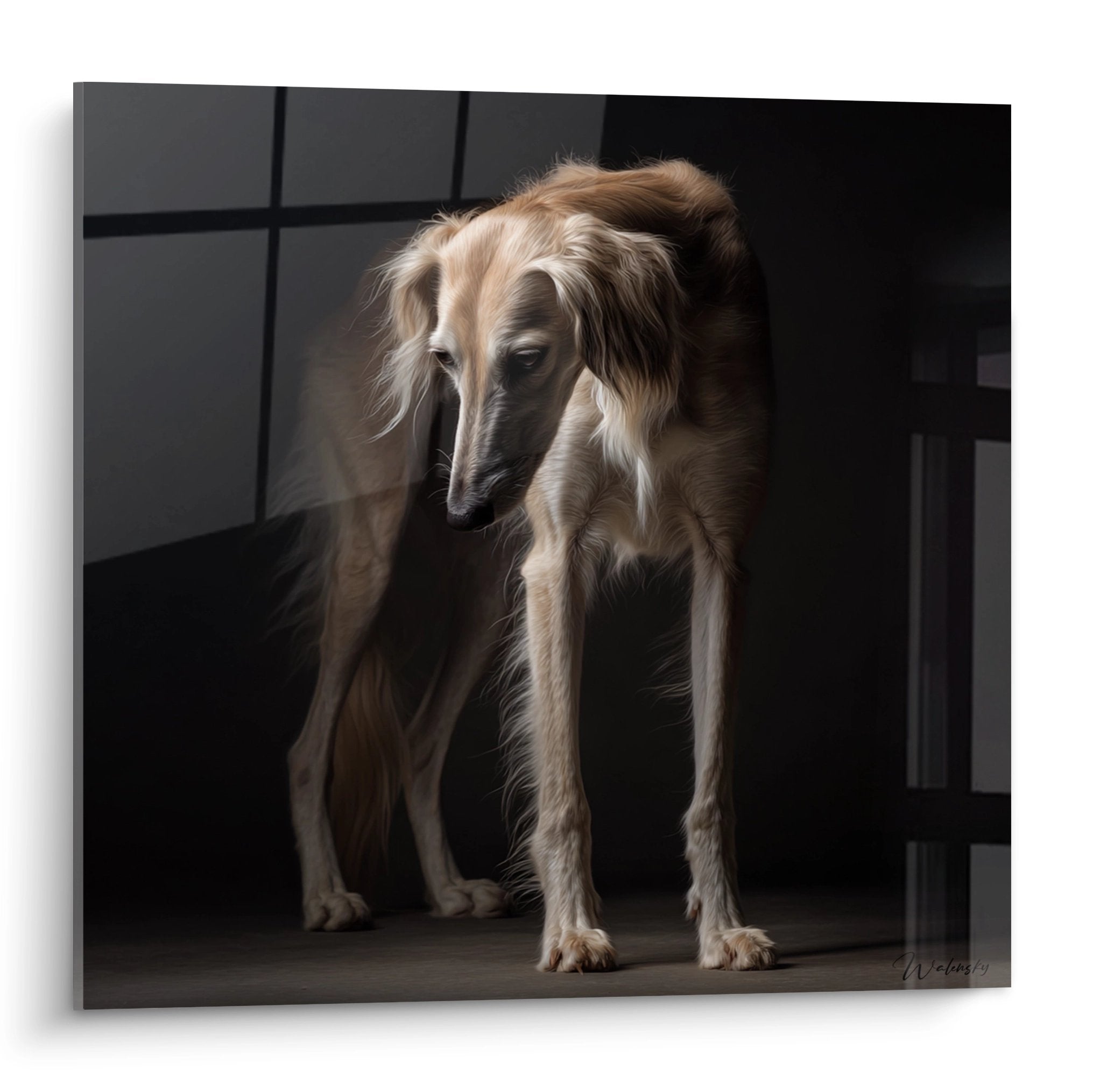 Portrait élégant d'un Saluki aux tons dorés et beiges dans une lumière tamisée sur fond sombre