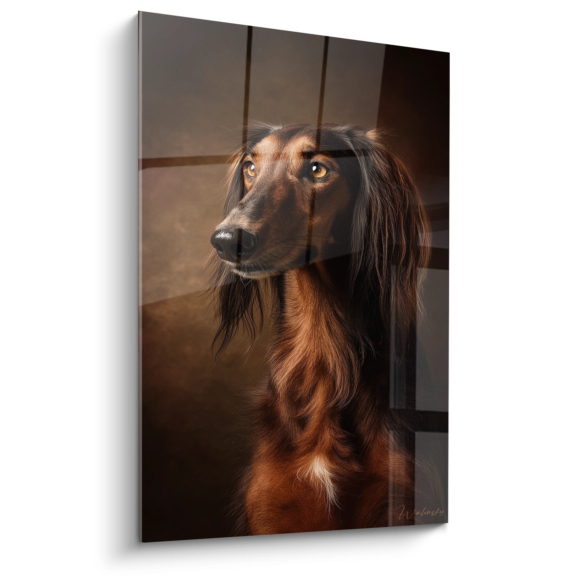 Portrait élégant de Saluki aux yeux dorés et pelage tricolore roux noir blanc sur fond architectural beige