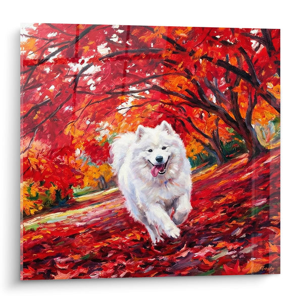 Tableau Chien Blanc Courant dans Feuillage Rouge et Orange - Éclat Automnal - Edition Samoyede