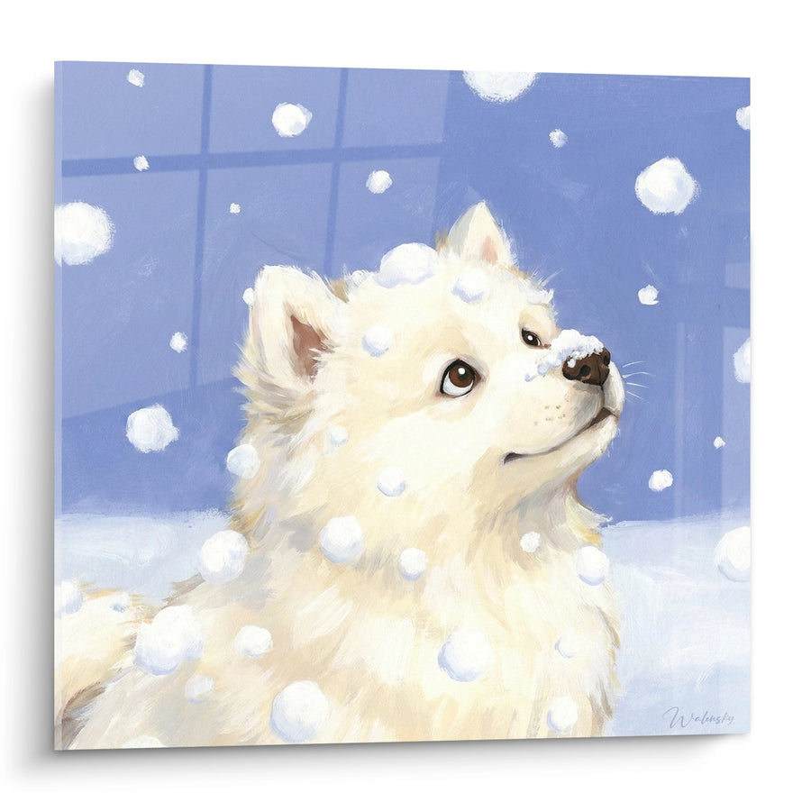 Tableau Chien Blanc aux Yeux Bruns dans la Neige - Regard Contemplatif - Edition Samoyede