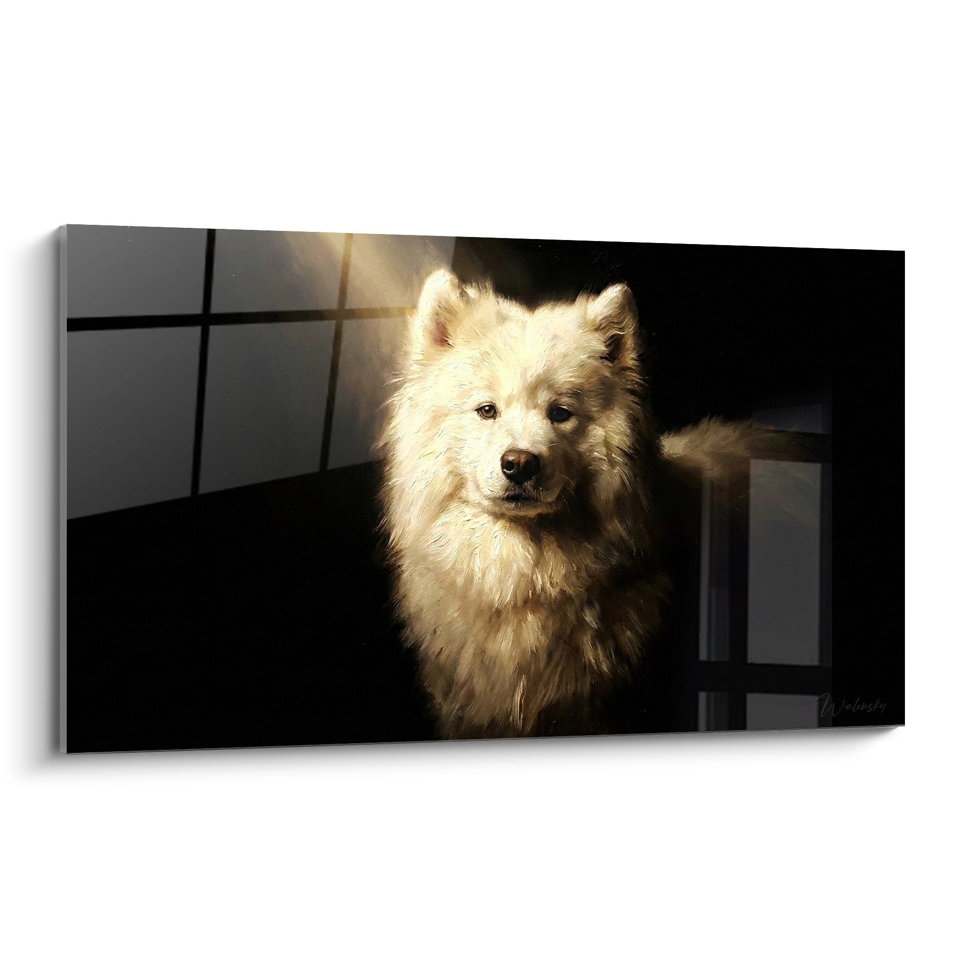 Portrait artistique d'un Samoyède blanc aux yeux dorés dans une lumière naturelle chaleureuse sur fond sombre