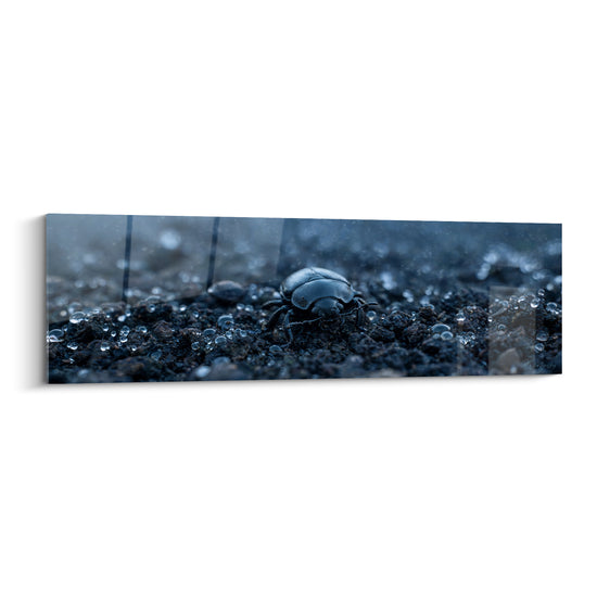 Tableau Scarabé bleu et noir sur terre humide - Brume matinale givrée - Edition Scarabé