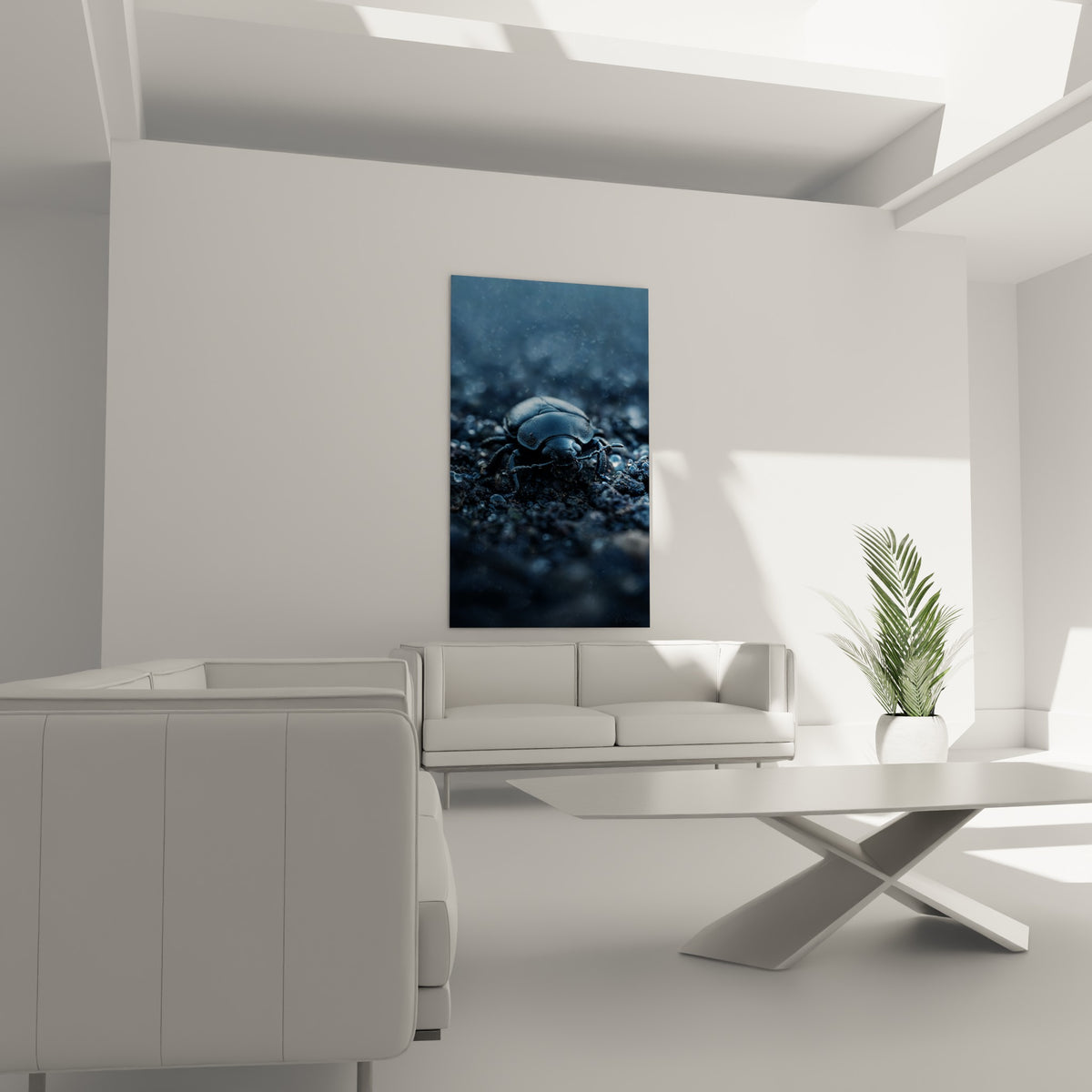 Carapace bleutée du scarabé nocturne, disposée au-dessus d'un canapé dans un salon lumineux