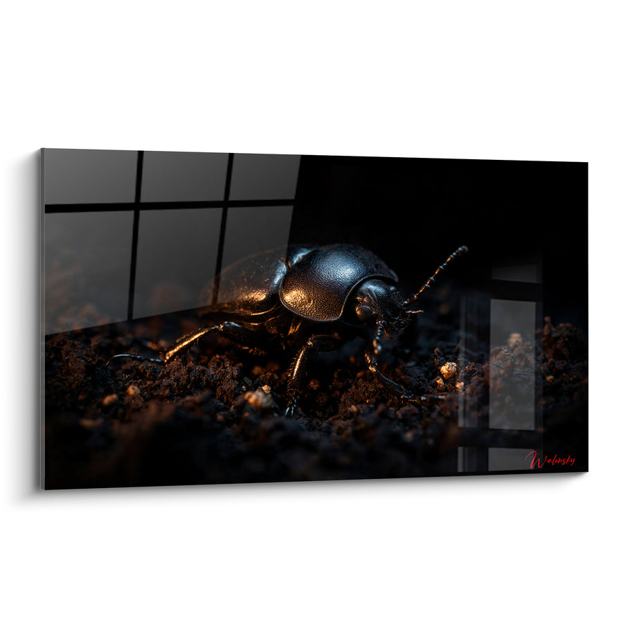 Tableau Scarabé noir aux reflets cuivrés sur terre - Éveil nocturne - Edition Scarabé