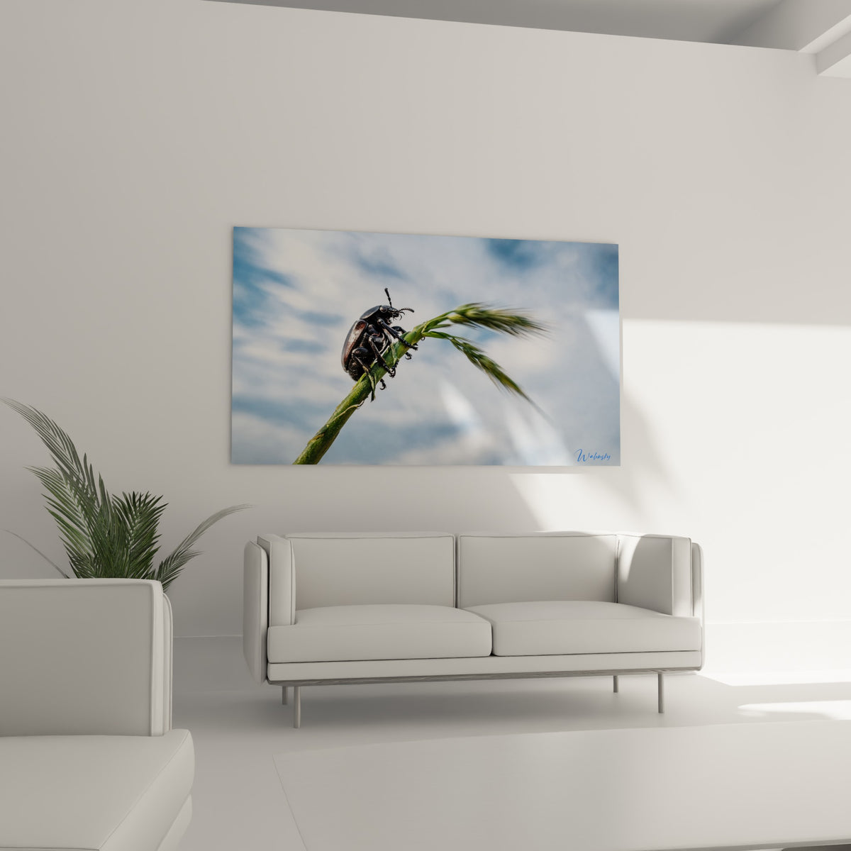 Carapace brillante d'un scarabé cuivré sur épi vert, nuances de bleu ciel, au-dessus d'un canapé dans un salon lumineux
