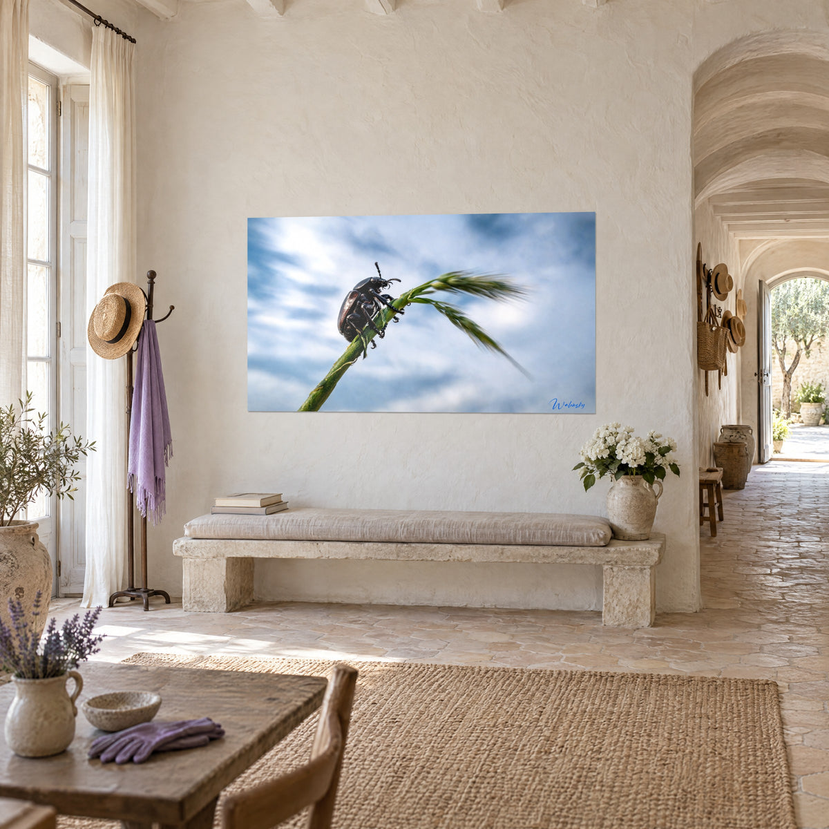Tableau scarabée brun cuivré gravissant une tige de graminée, nuages bleu pâle, accroché dans un couloir voûté du mas