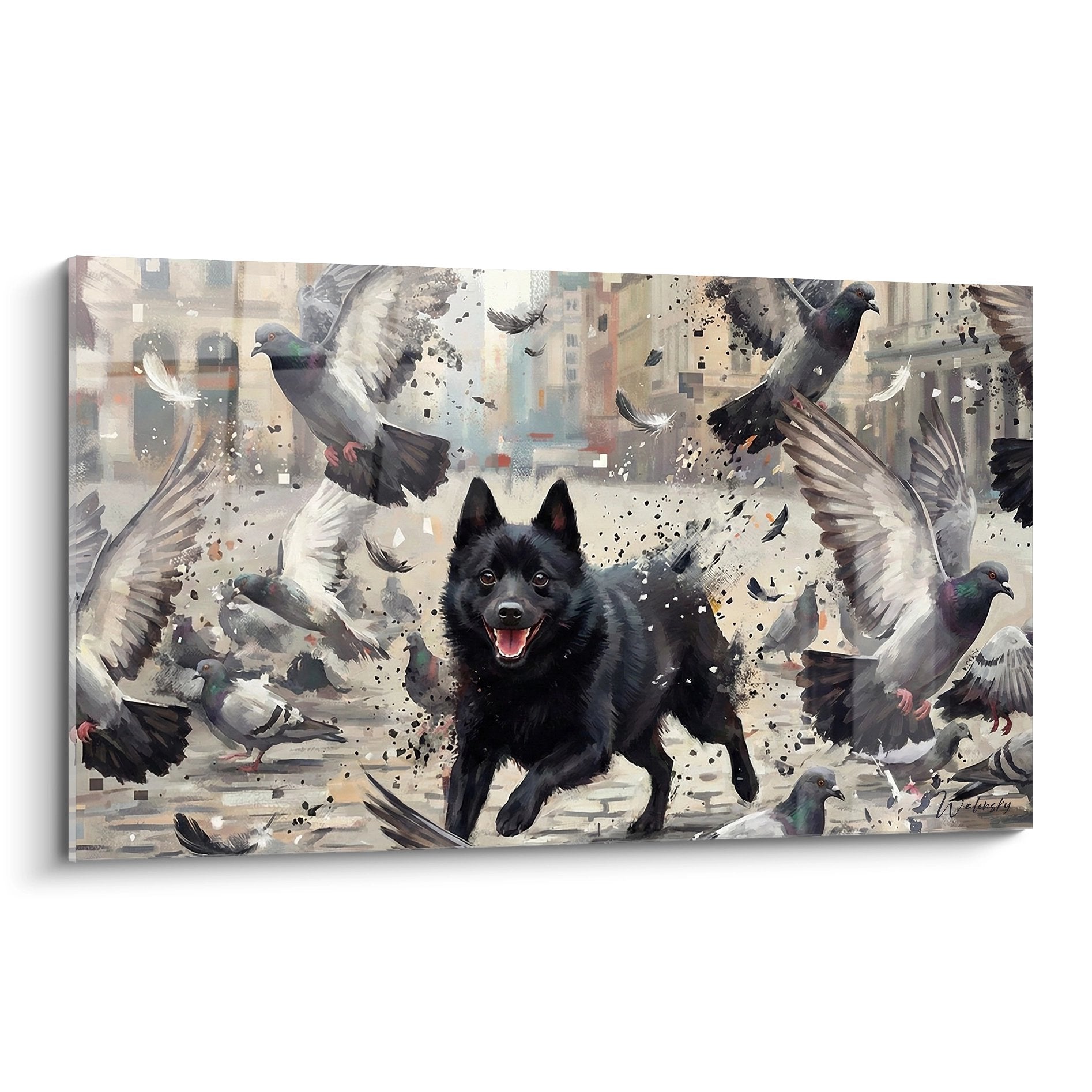 Tableau Schipperke noir bondissant au milieu d'un envol de pigeons avec eclaboussures blanches sur fond urbain