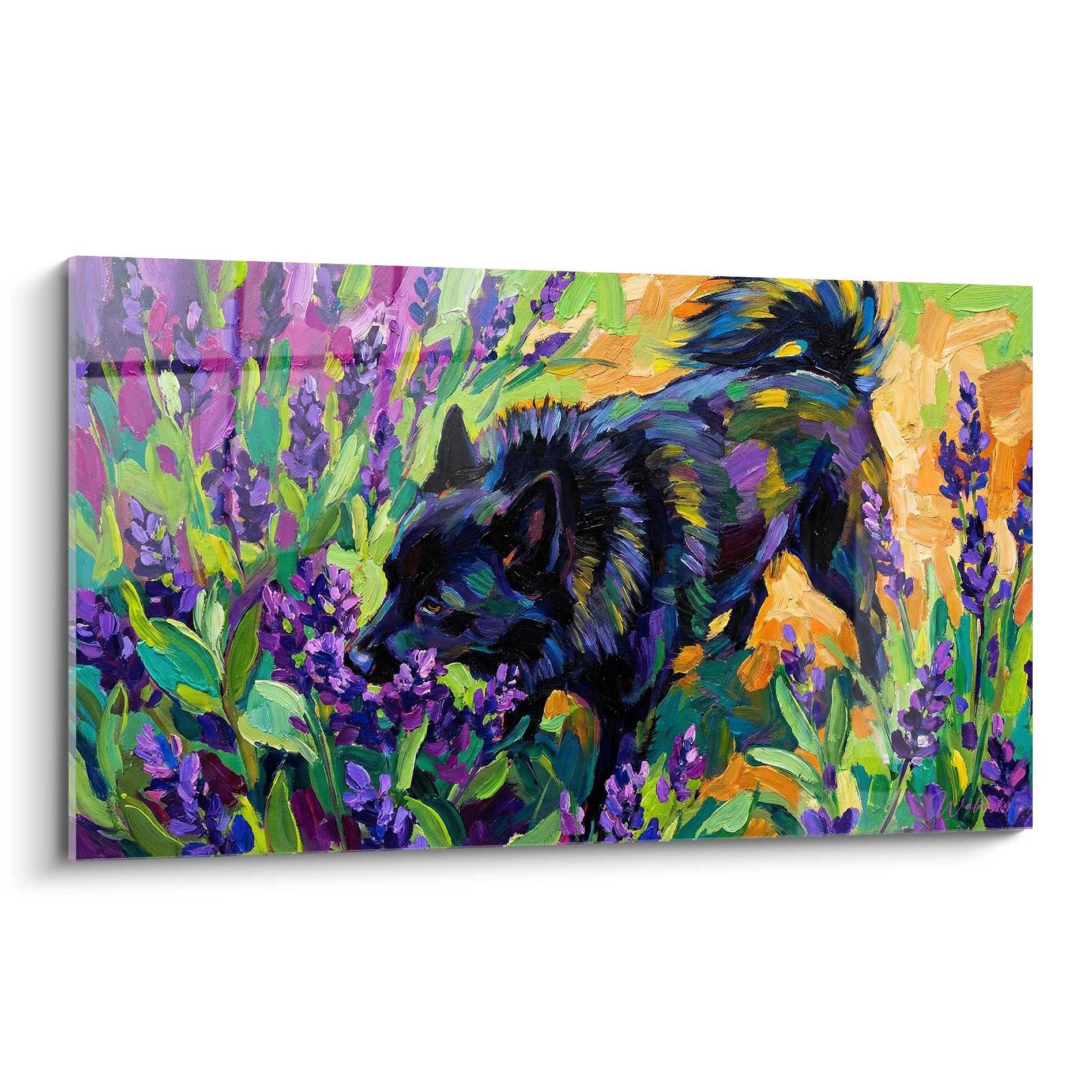 Tableau Schipperke aux reflets multicolores dans champ lavande style impressionniste decoration murale