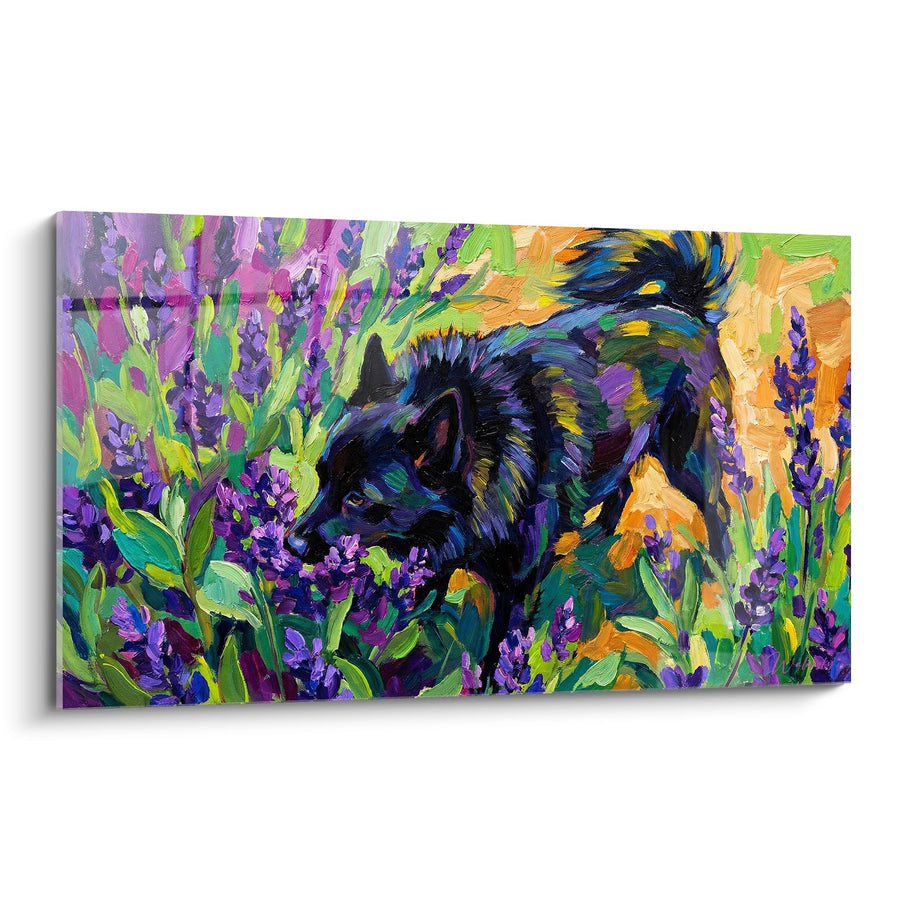 Tableau Schipperke aux Teintes Irisées dans Jardin de Lavande Impressionniste - Symphonie Pastorale - Edition Schipperke