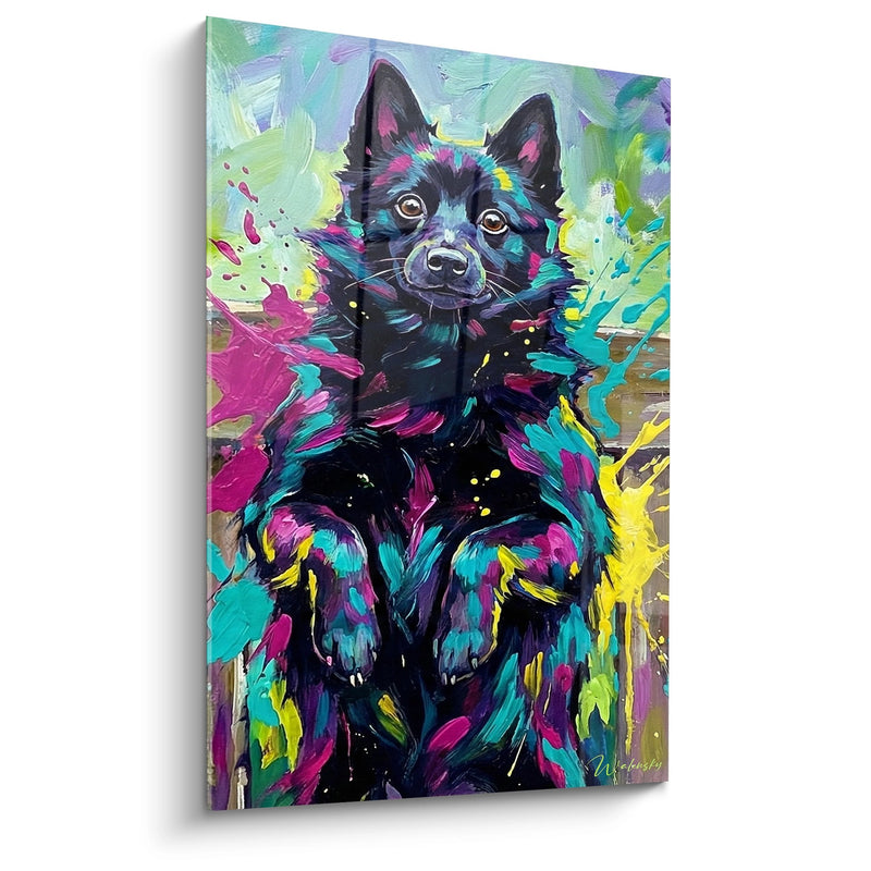Gemälde Schipperke Mehrfarbig mit dynamischen Farbprojektionen - Künstlerischer Glanz - Schipperke Edition