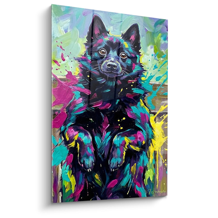 Tableau Schipperke Multicolore aux Projections de Peinture Dynamiques - Éclat Artistique - Edition Schipperke