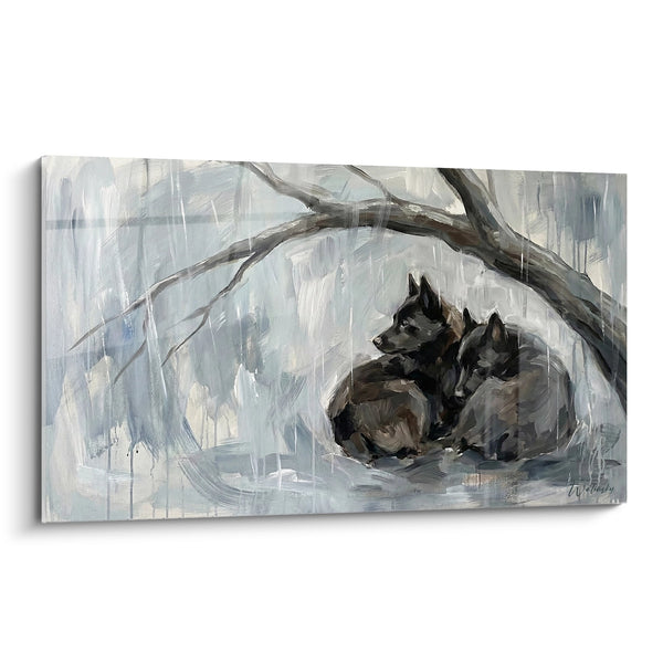 Cuadro de Schipperkes Durmiendo en su Refugio Gris Bajo la Lluvia - Ternura Invernal - Edición Schipperke