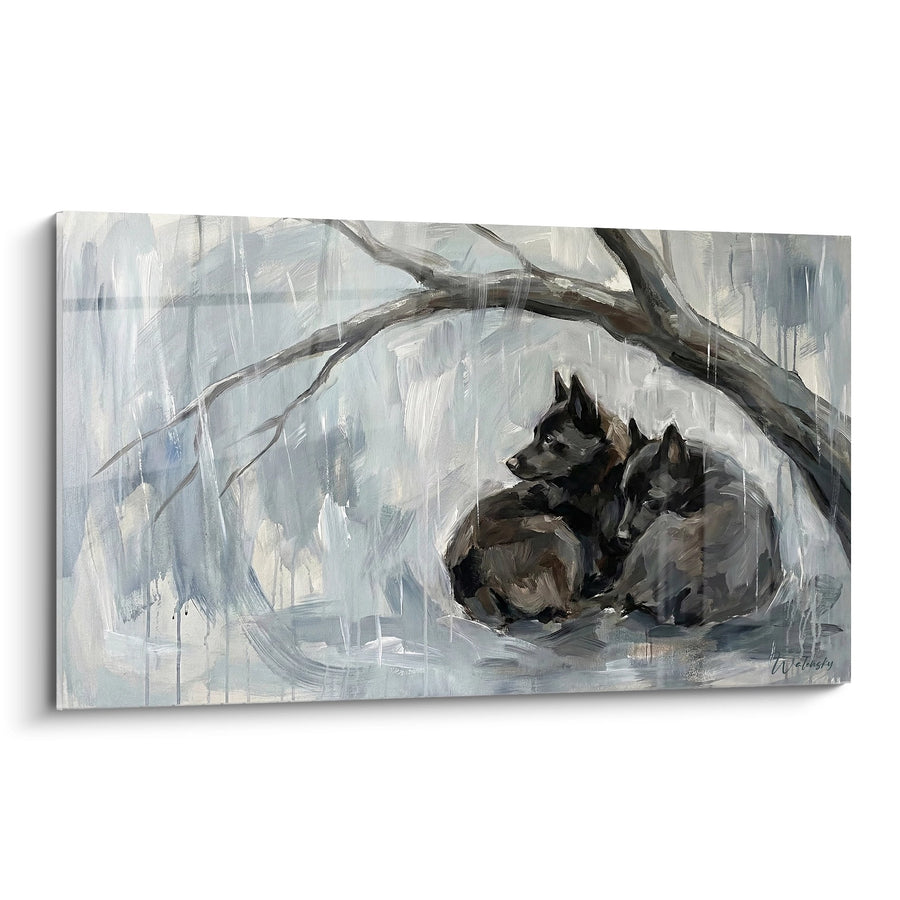 Tableau Schipperkes Endormis dans leur Abri Gris sous la Pluie - Tendresse Hivernale - Edition Schipperke