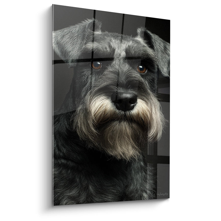 Tableau Schnauzer Gris aux Yeux Ambrés - Portrait Élégant - Edition Schnauzer