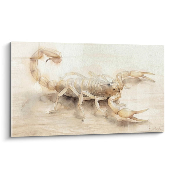 Skorpion-Gemälde Aquarell Beige und Ocker - Wüsten-Anatomie - Skorpion-Edition