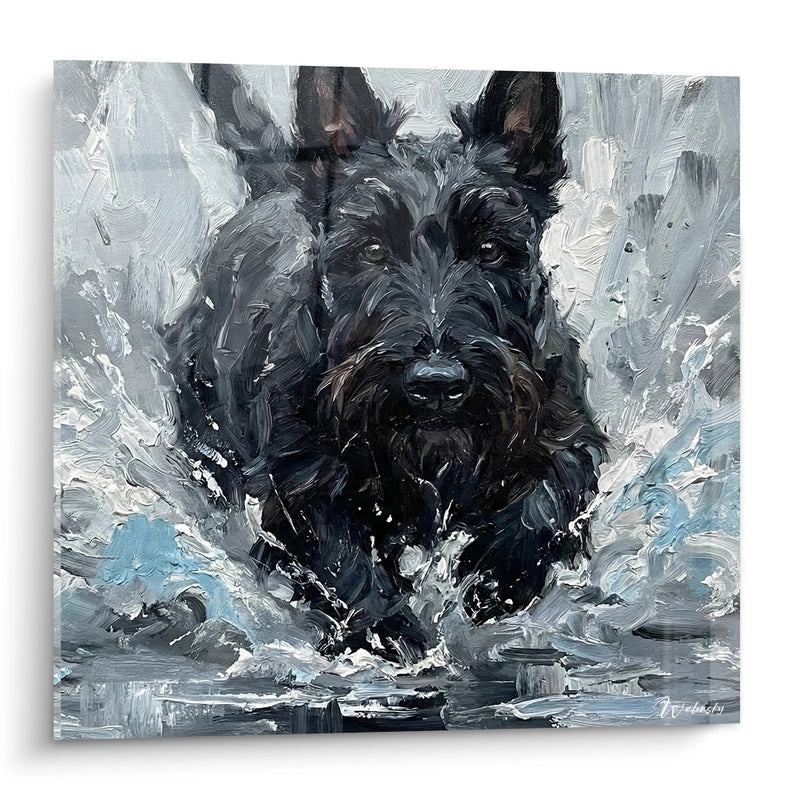 Wandbild Schwarzer Hund im Wasser Spritzer - Wassergischt - Scottish Terrier Edition
