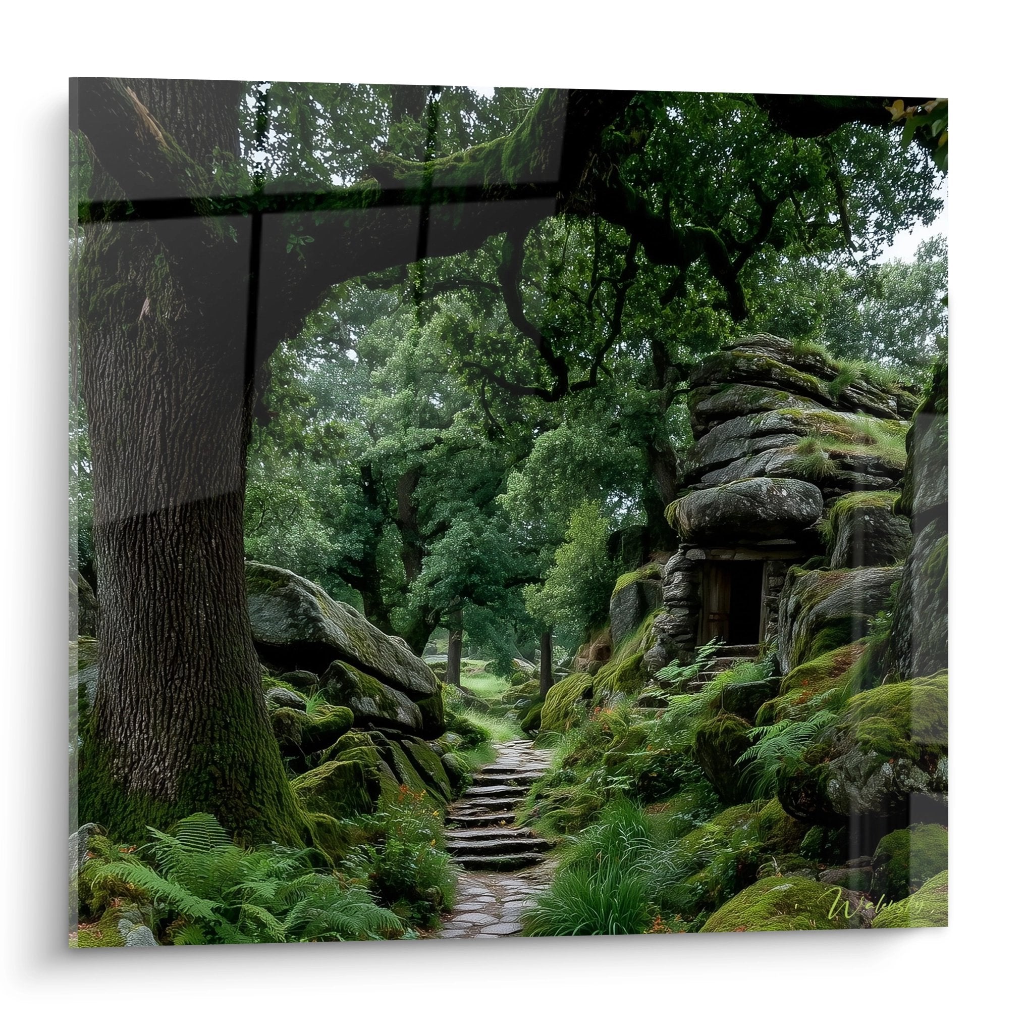 Tableau mural sentier forestier avec escalier pierre et végétation mousse, ambiance mystique forêt