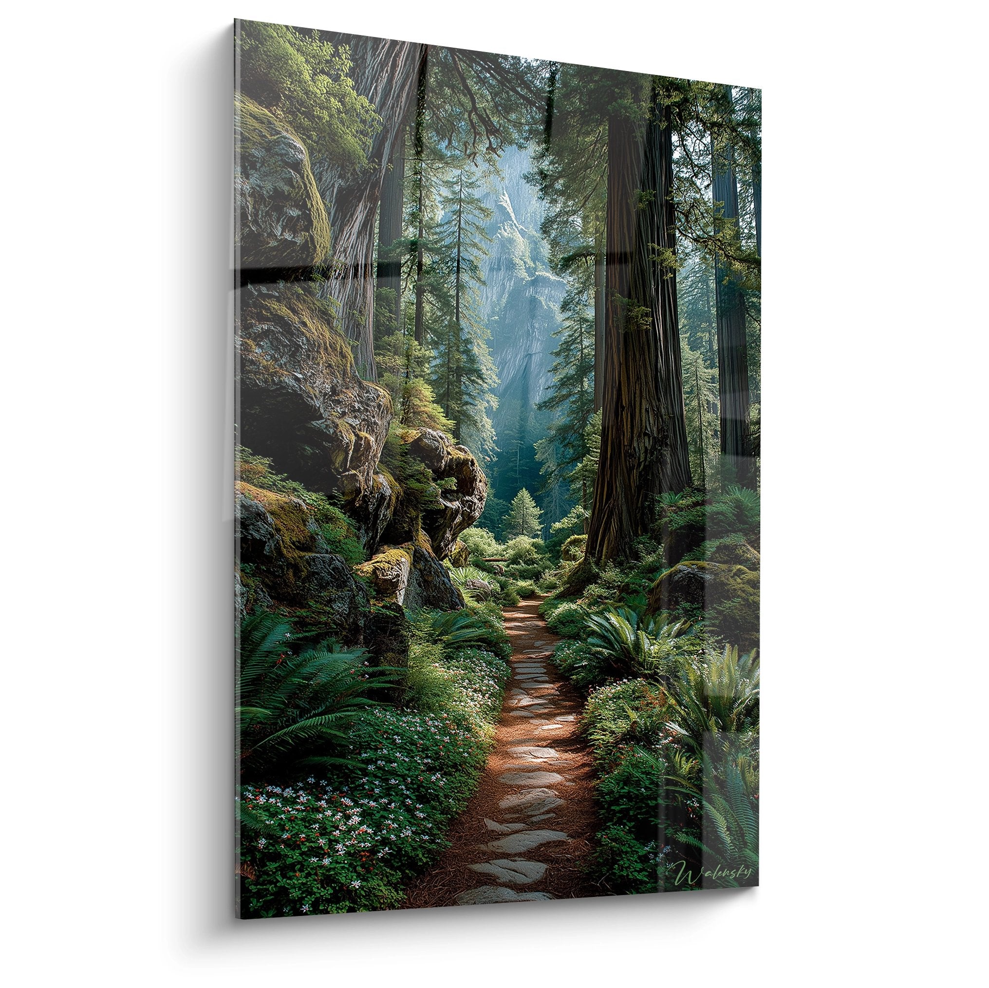 Tableau mural sentier forestier séquoias géants fougères chemin mystique nature