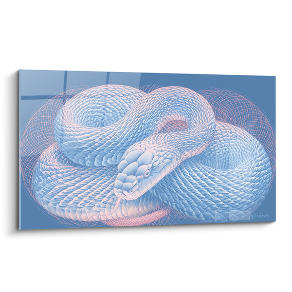 Tableau Serpent enroulé aux teintes bleu et rose - Immobilité hypnotique - Edition Serpent