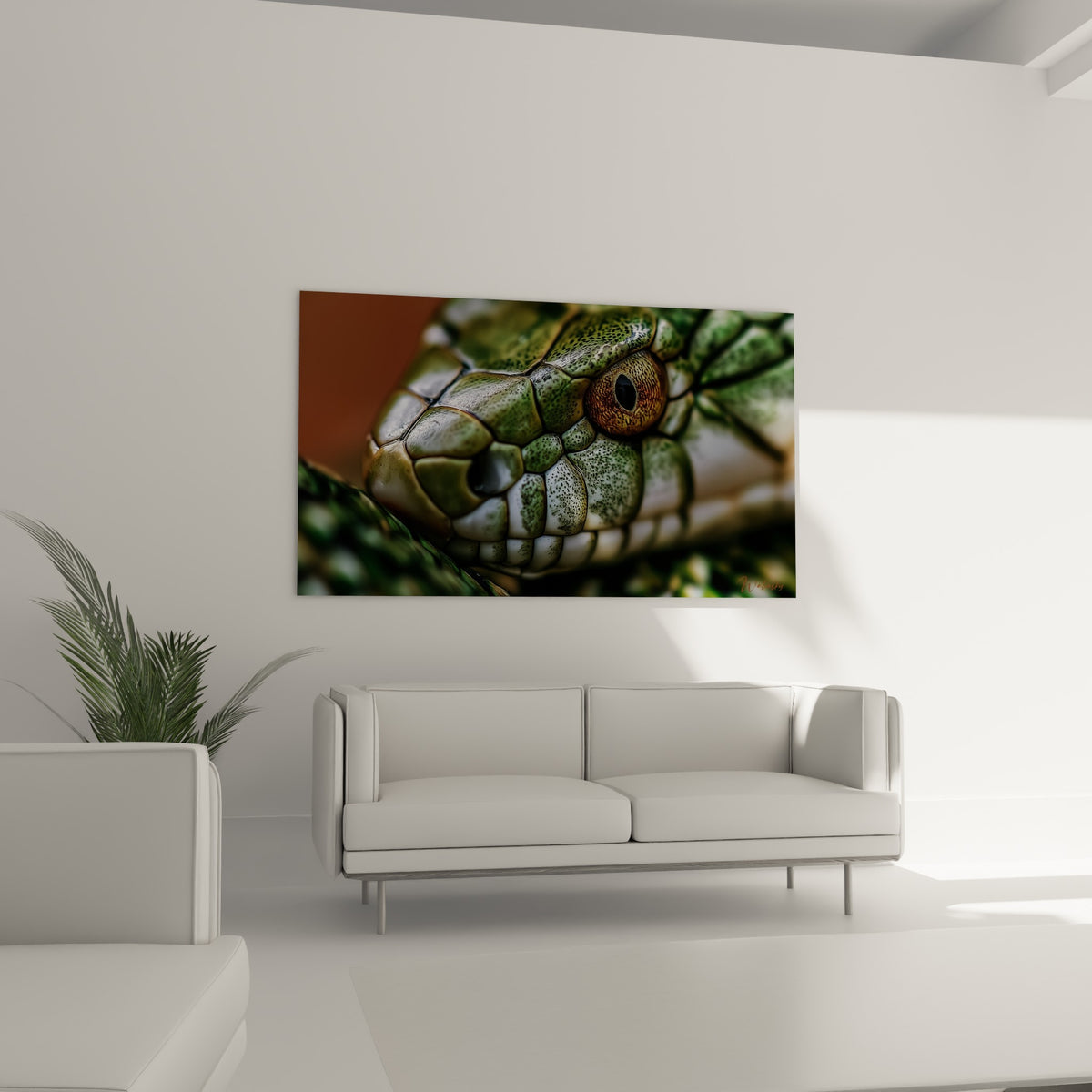 Écailles vertes et blanches du serpent, œil cuivré intense, au-dessus d'un canapé dans un salon lumineux