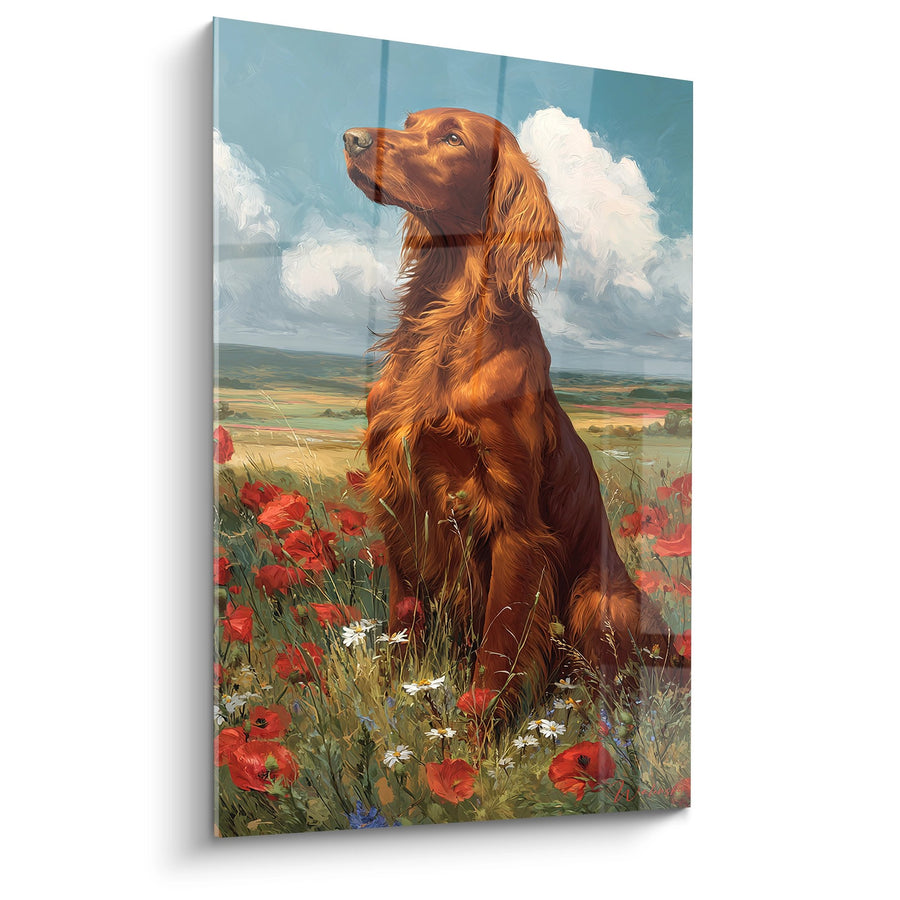Red Irish Setter in a Poppy Field - Rural Contemplation - Irish Setter Edition